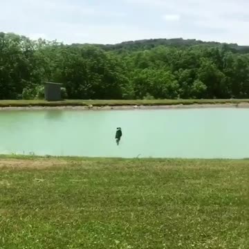 Baby and puppy besties love playing outside together #13698741