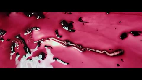 DIED SUDDENLY (TRAILER)