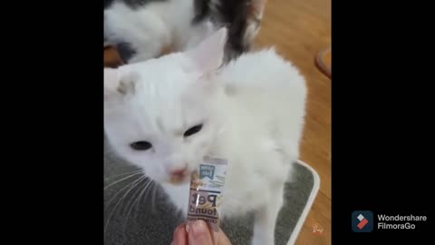 By the watching this video you will laugh much , laugh challenge