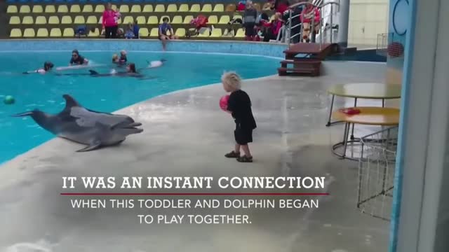 This cute baby playing with this dolphin 🐬😍