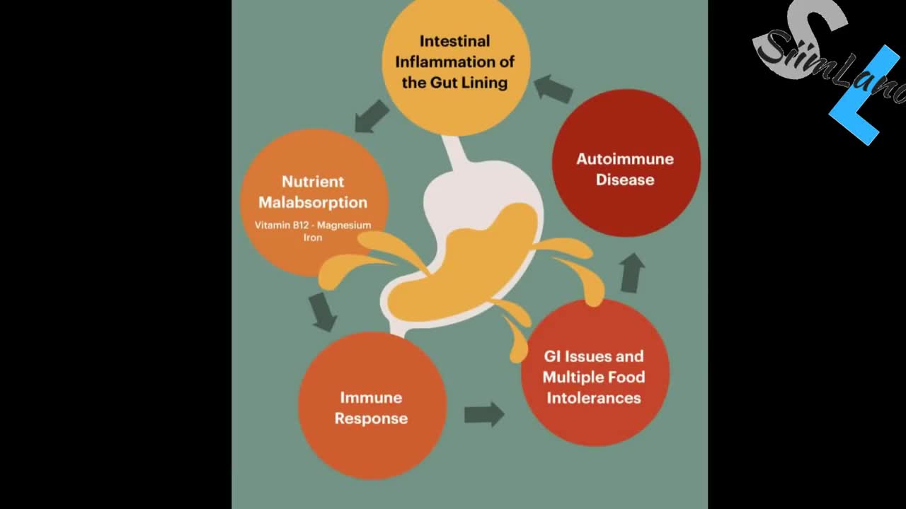 WHAT TO EAT ON A THE KETOGENIC DIET?