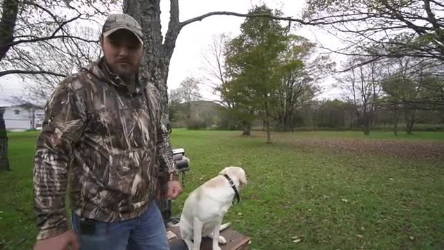 Training a Hunting Dog | Backyard Dog Training