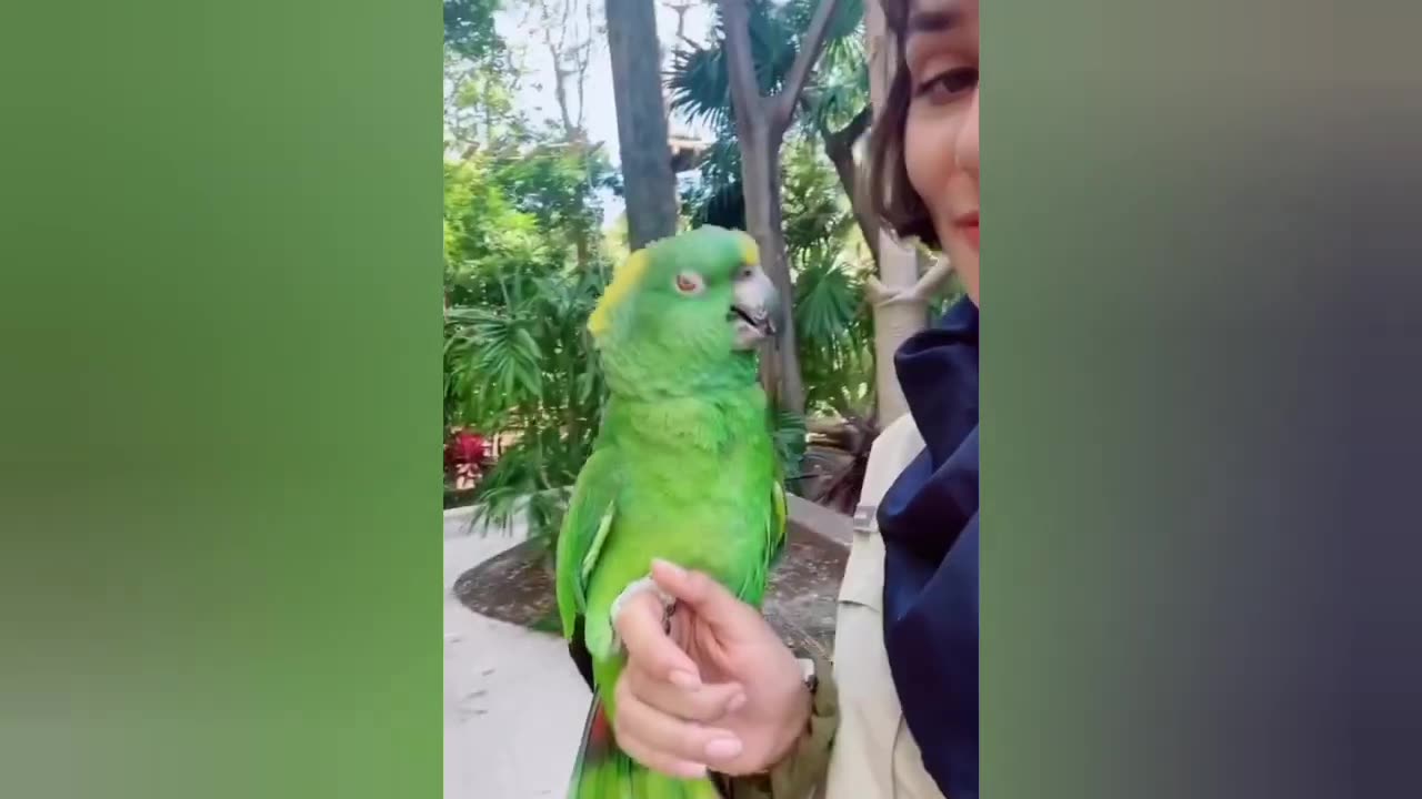 Animals having fun