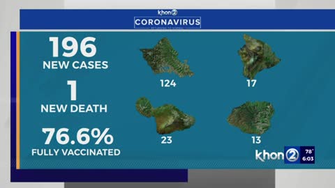 Hawaii reports 196 COVID cases, 1 new death