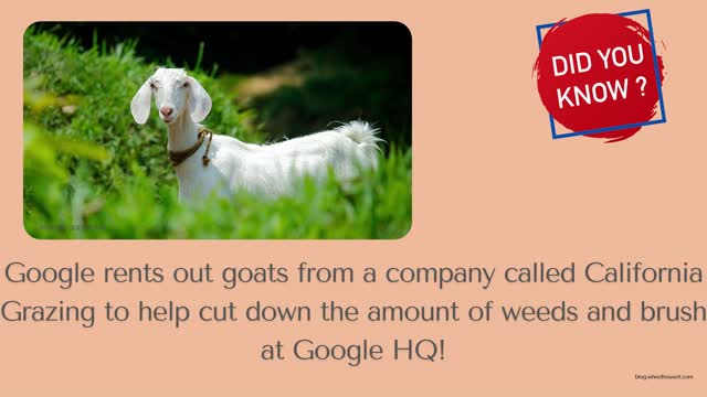 Tech facts