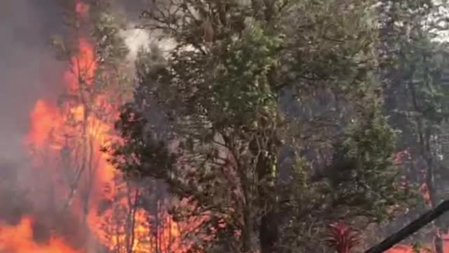 Lava Flowing in Hawaii