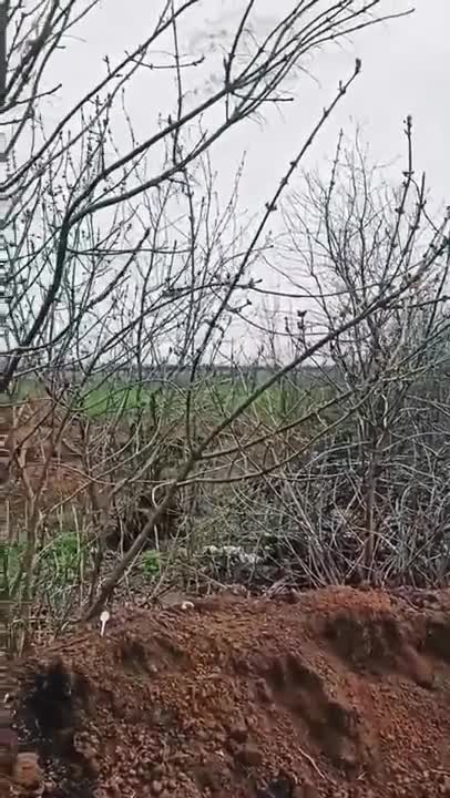 Ukrainian Helicopter Fires Rockets