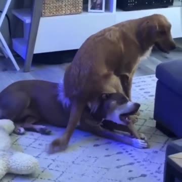 You don’t care where you are sitting