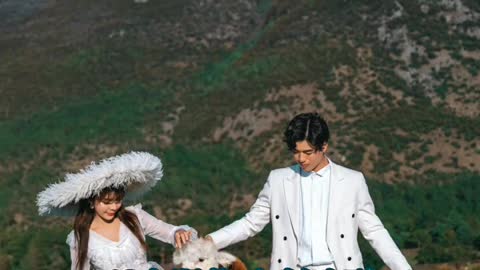 The most beautiful wedding photos
