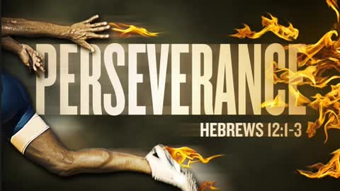 The Lion's Table: Perseverance to Finish the Race