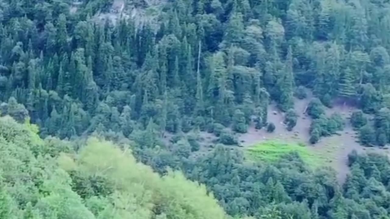 Beauty of Pakistan