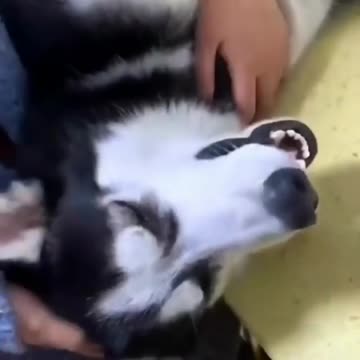 Brigando com a esposa 🤣 😂