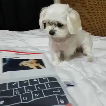 The faster typist captured on video