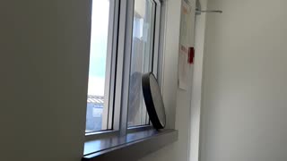 Lunch room
