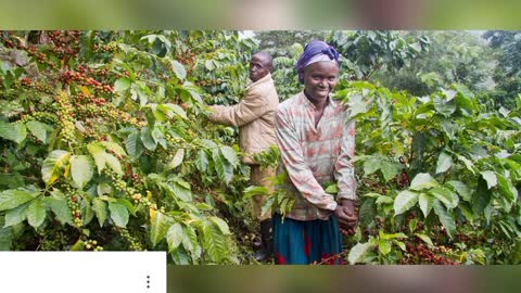 Largest Coffee xporter state in india