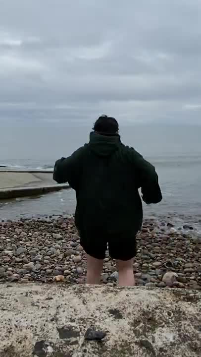 day 58 of feeding my pet seagull to gain his trust