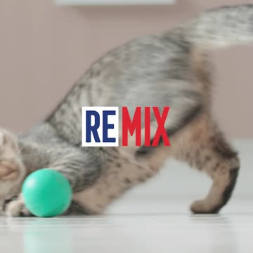 We're out of TikTok jail!