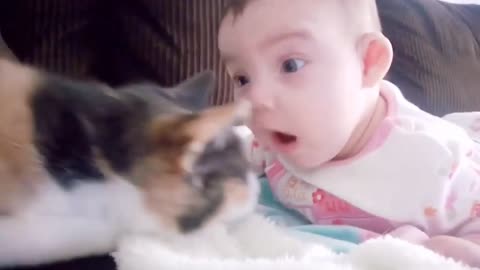 Baby vs cat fat