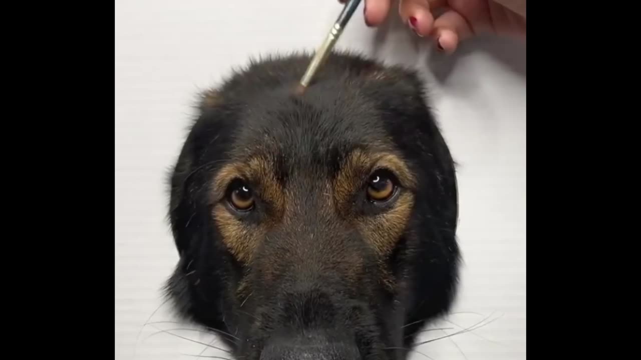 How to paint 🎨🎨 a realistic dog