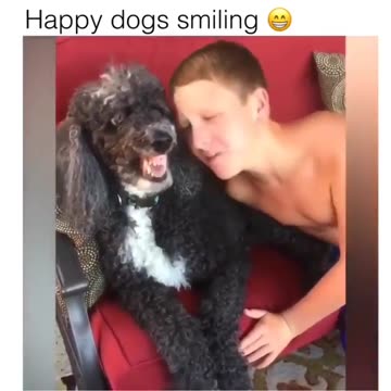 If these @crazymammals don’t cheer you up, see a doctor ‘cause you just might be dead inside.#smile