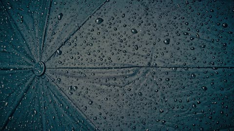 Rain on an Umbrella