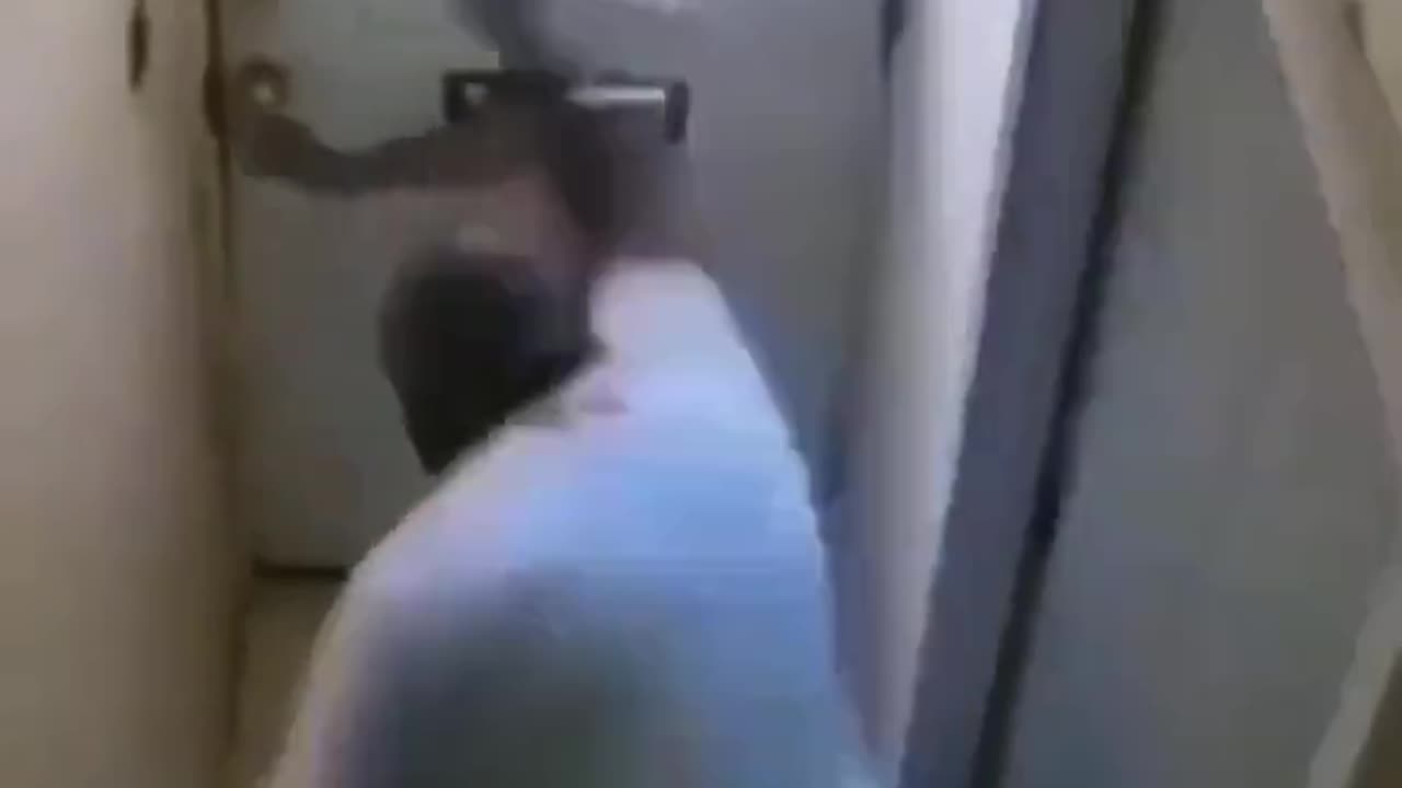 Thief Sounded Like Tom From Tom & Jerry