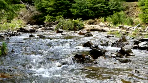 The Sound Of The Creek