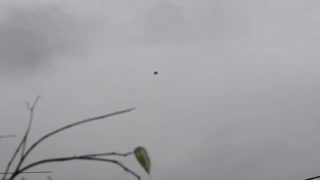 Odd Flying Object Spotted Over Bremerton, USA