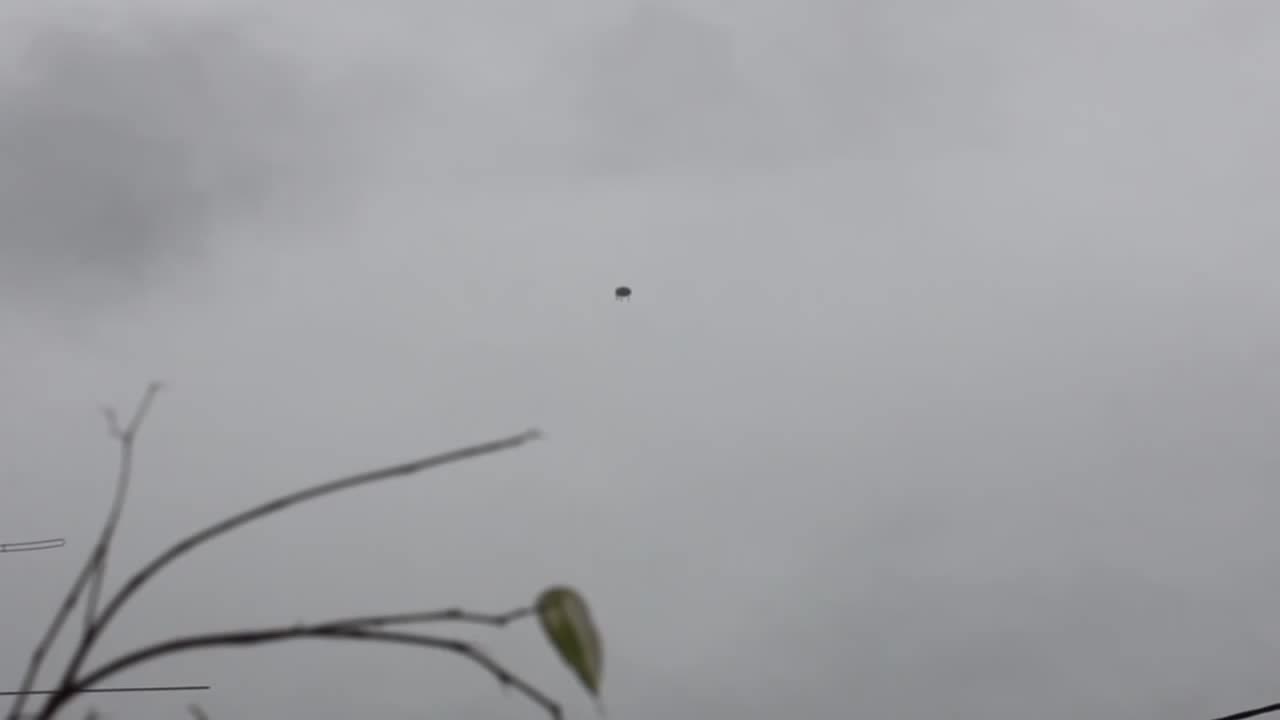 Odd Flying Object Spotted Over Bremerton, USA