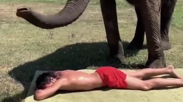 Smart Elephant Training with Human