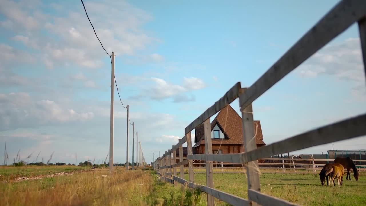 Horses grazing behind fence