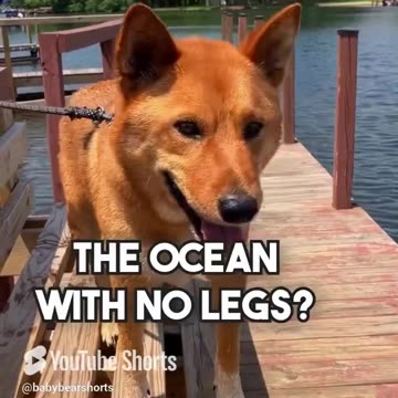 I can't get him to stop telling these cringe jokes