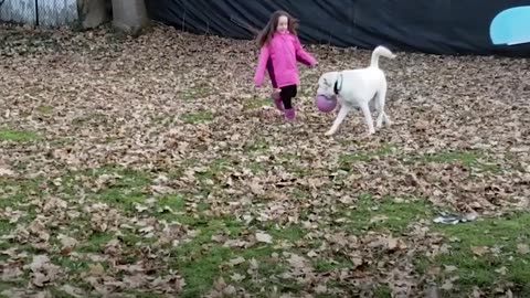 Little Girls Decide To Save A Shelter Dog's Life | The Dodo