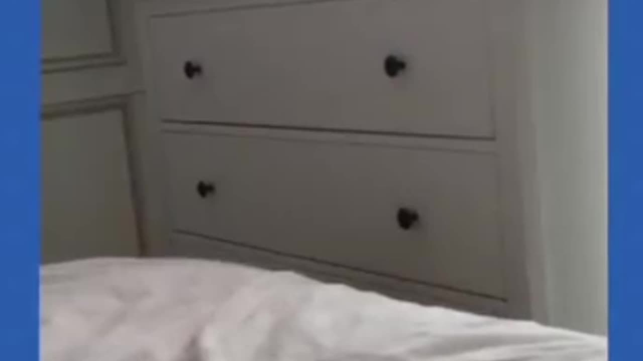 Funny animal video 😂🤣 interested video 😍