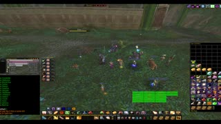 Turtle Wow - MM Weekly ZG - 21 December - Paladin POV