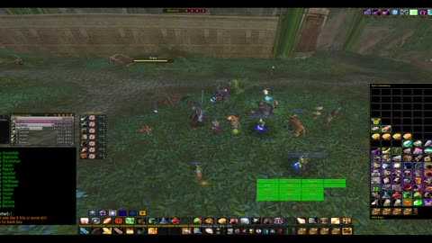 Turtle Wow - MM Weekly ZG - 21 December - Paladin POV