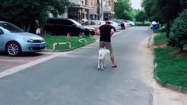 Emotional dad gets surprise from son after five years apart
