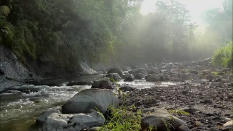 Relaxing River Sound
