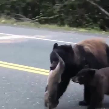 Return from a very successful fishing trip.