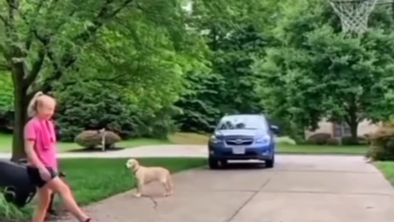 Comedy video 😂