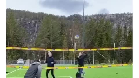 Dog playing basketball
