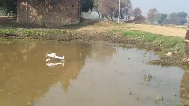 10 years old boy has made airplane this running in water