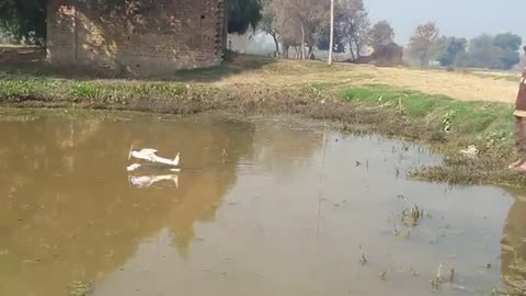 10 years old boy has made airplane this running in water