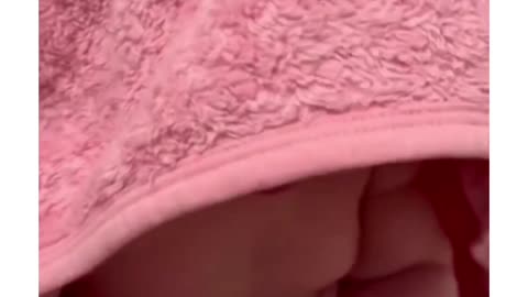 Cute baby videos