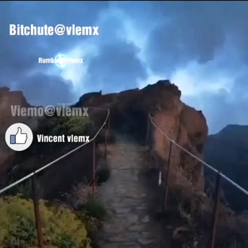 WANTED: Woman accused of beating up St. Louis City sheriff after being told to wear a mask