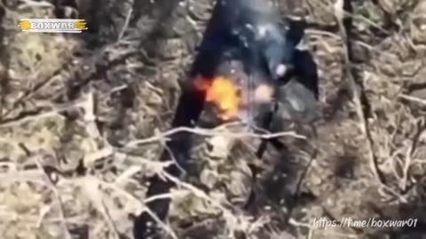 ‼️🇷🇺⚡️The paratroopers destroyed the Ukrainian Armed Forces militants
