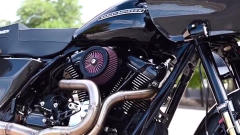 Custom 264