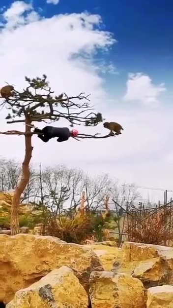 When I came to work in construction for the first time 😁