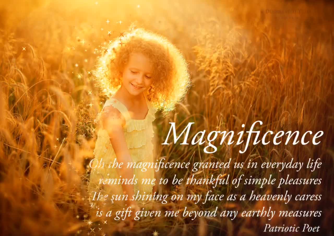 Magnificence