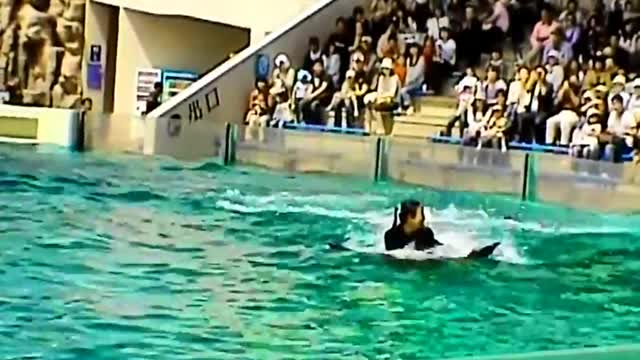シャチとキス♡kamogawa mundo Marino.2011' Acuario kamogawa
